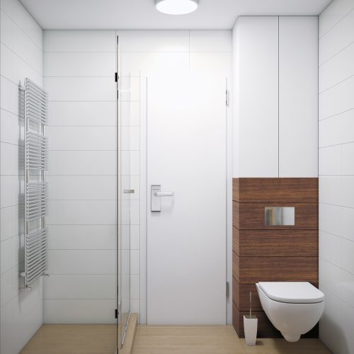 Render of bathroom with toilet and shower